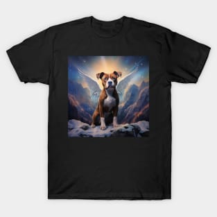 Staffordshire Angel T-Shirt